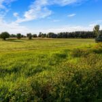 Bozeman MT 59718 - 7