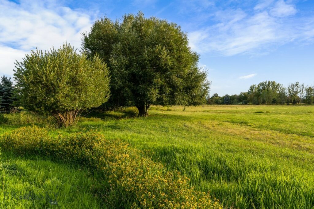 223 Poppy Field Drive