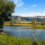 223 Poppy Field Drive