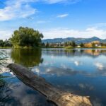 Bozeman MT 59718 - 9