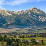 223 Poppy Field Drive