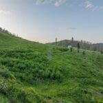 Bozeman MT 59715 - 3