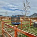 2304 Sturnella Lane