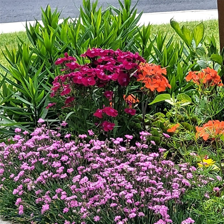 Bozeman MT 59718 - 25