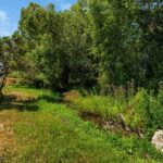 Belgrade MT 59714 - 20