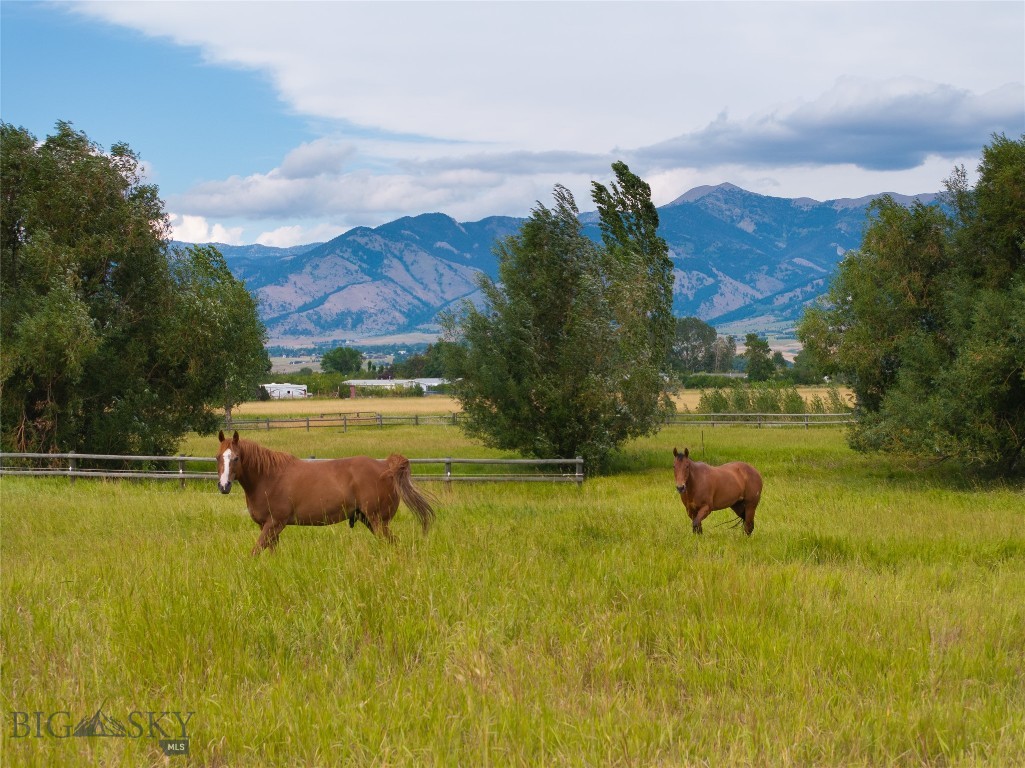 Bozeman MT 59718 - 1