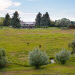 Bozeman MT 59718 - 7