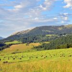 Bozeman MT 59715 - 17