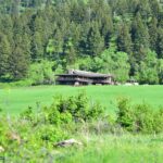 2391 Mount Ellis Road