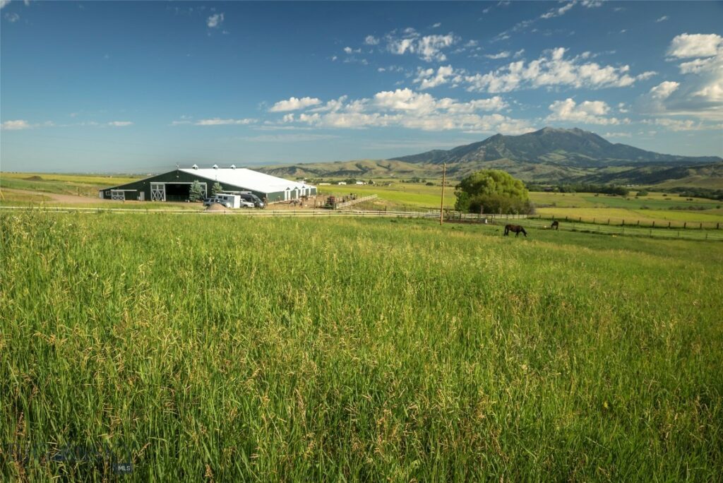 2391 Mount Ellis Road