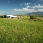 2391 Mount Ellis Road