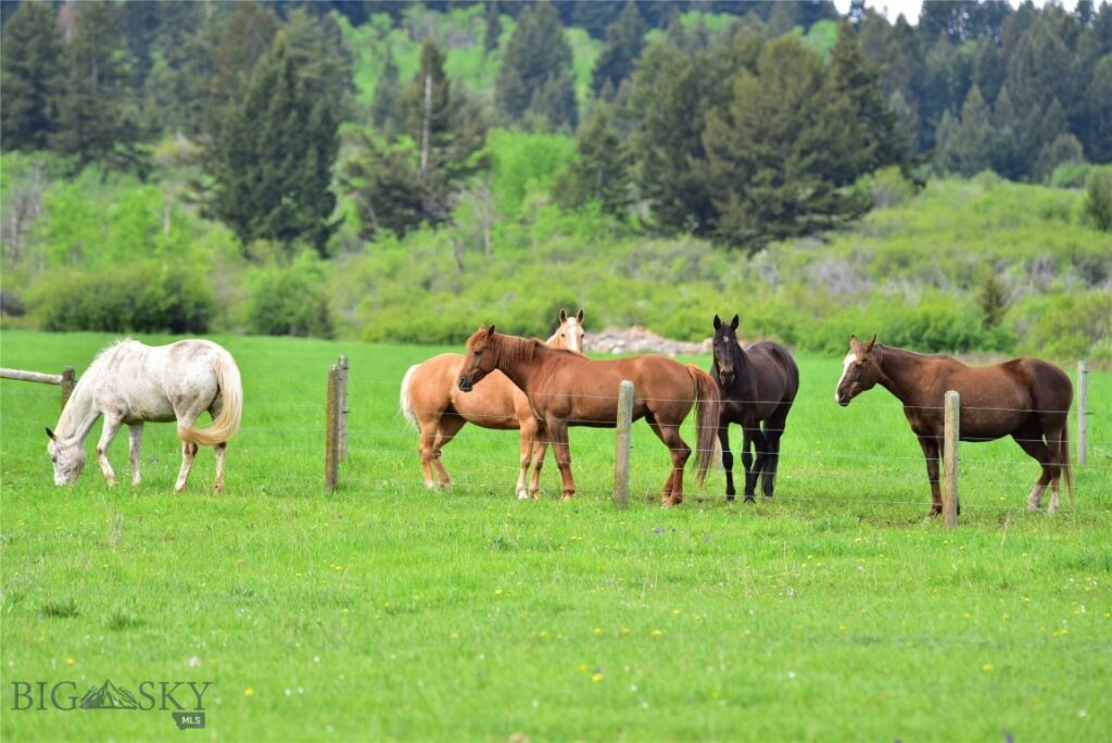 Bozeman MT 59715 - 24
