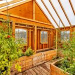 Belgrade MT 59714 - 16