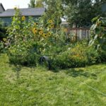 Bozeman MT 59718 - 3