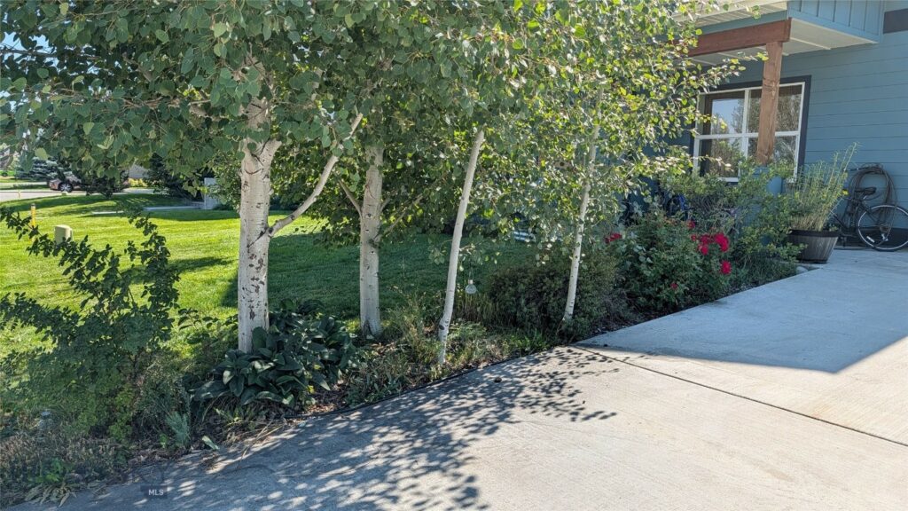 Bozeman MT 59718 - 1