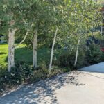 Bozeman MT 59718 - 1