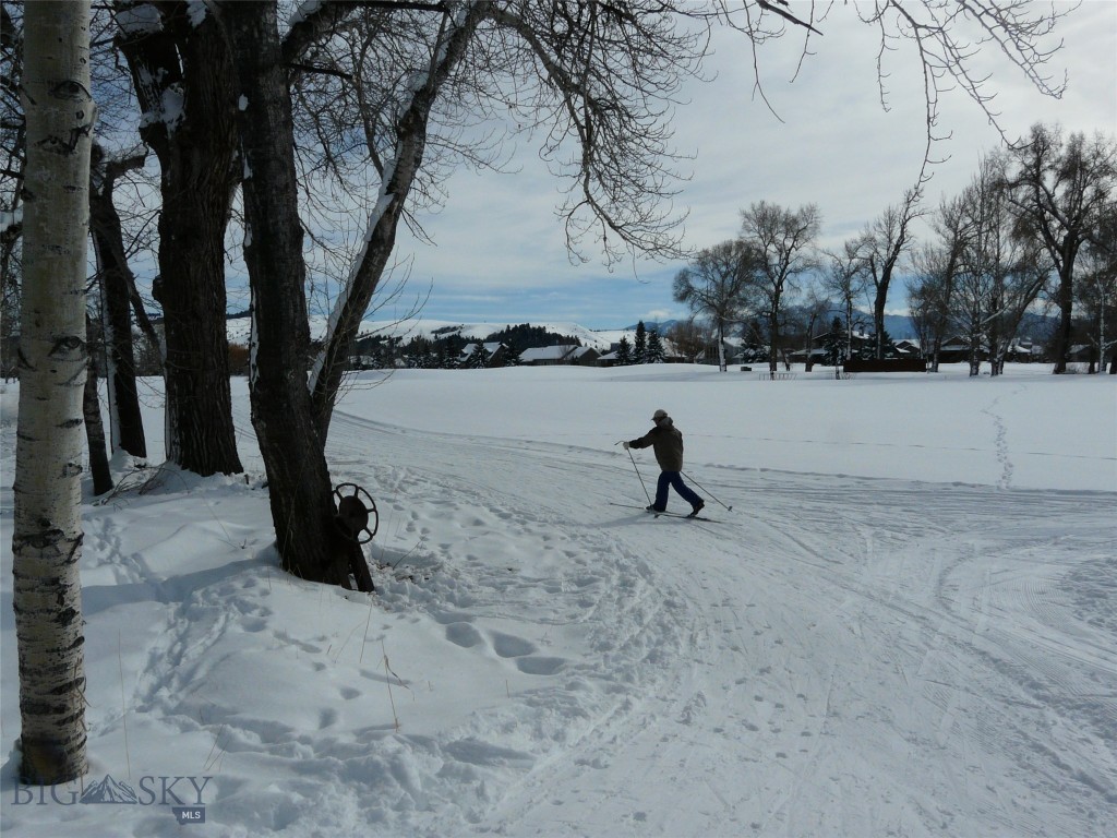 Bozeman MT 59715 - 19