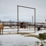 Belgrade MT 59714 - 13