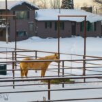 Belgrade MT 59714 - 16