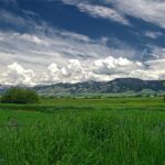 Bozeman MT 59718 - 4