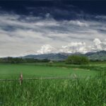 Bozeman MT 59718 - 5