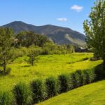 Bozeman MT 59715 - 22