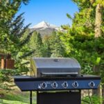 Big Sky MT 59716 - 10