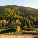 2594 Star Ridge Road