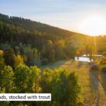 2594 Star Ridge Road