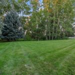 Bozeman MT 59718 - 18