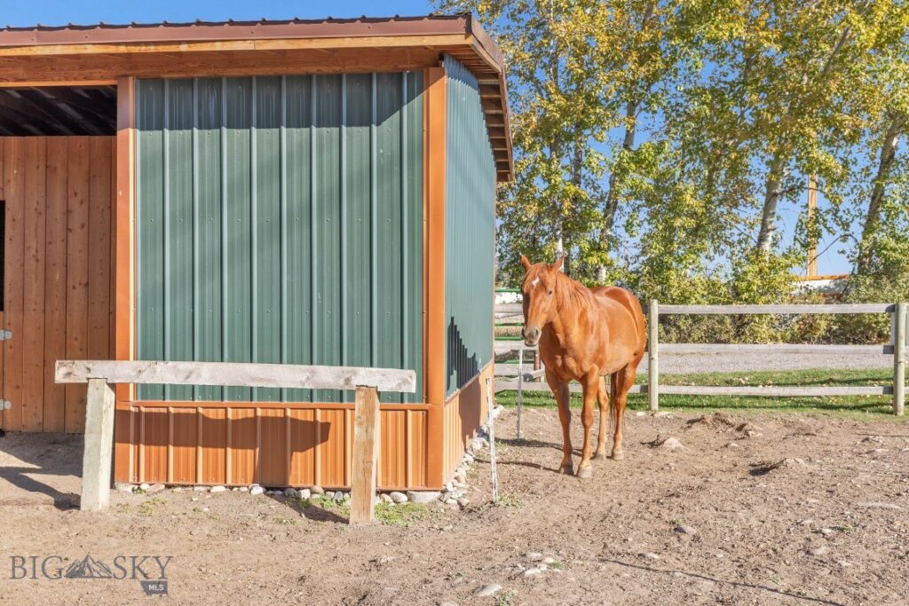 Bozeman MT 59718 - 24