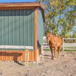 Bozeman MT 59718 - 24