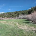 Belgrade MT 59714 - 2