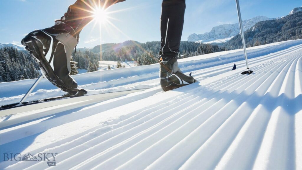 2695 Curly Bear Road