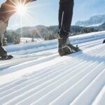 2695 Curly Bear Road