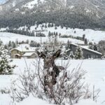 Big Sky MT 59716 - 18