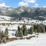 2695 Curly Bear Road