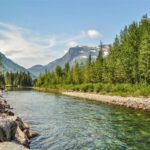 2695 Curly Bear Road