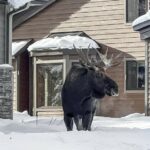 Big Sky MT 59716 - 3