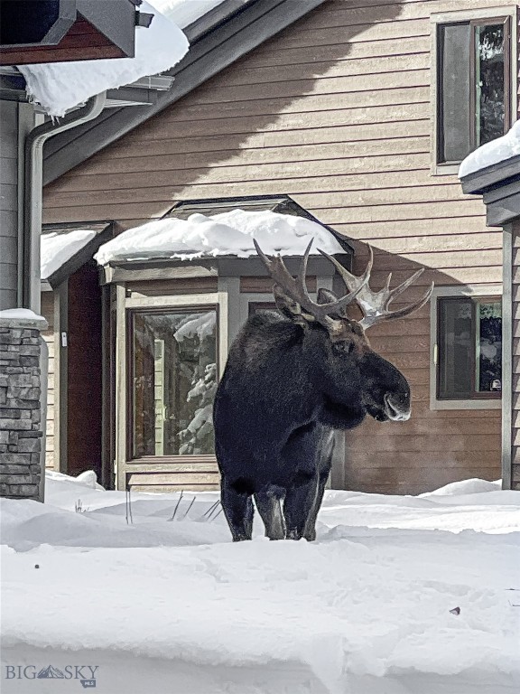 Big Sky MT 59716 - 3