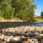 Bozeman MT 59718 - 15