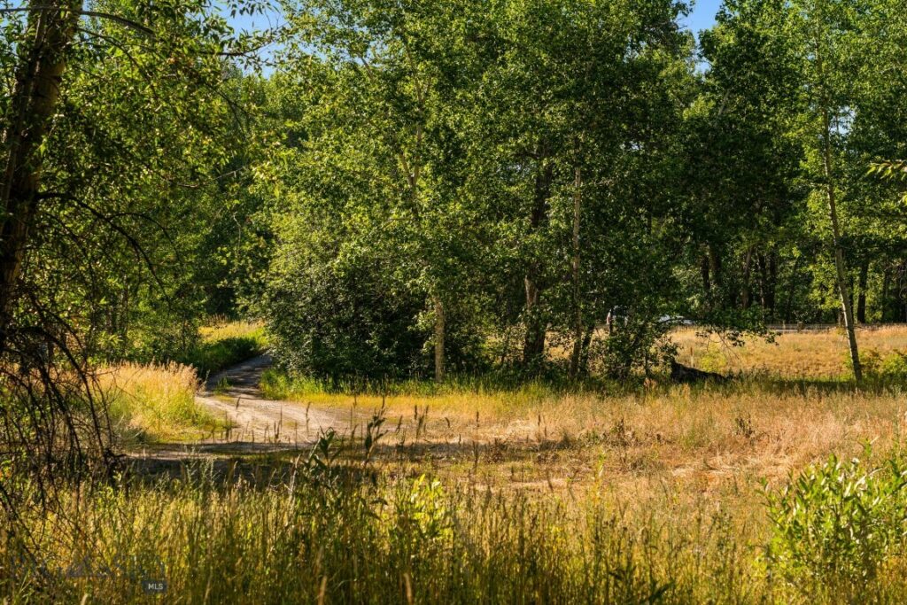 Bozeman MT 59718 - 17