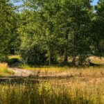 Bozeman MT 59718 - 17