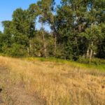 Bozeman MT 59718 - 18