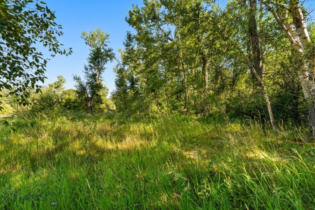 Bozeman MT 59718 - 19