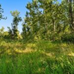 Bozeman MT 59718 - 19