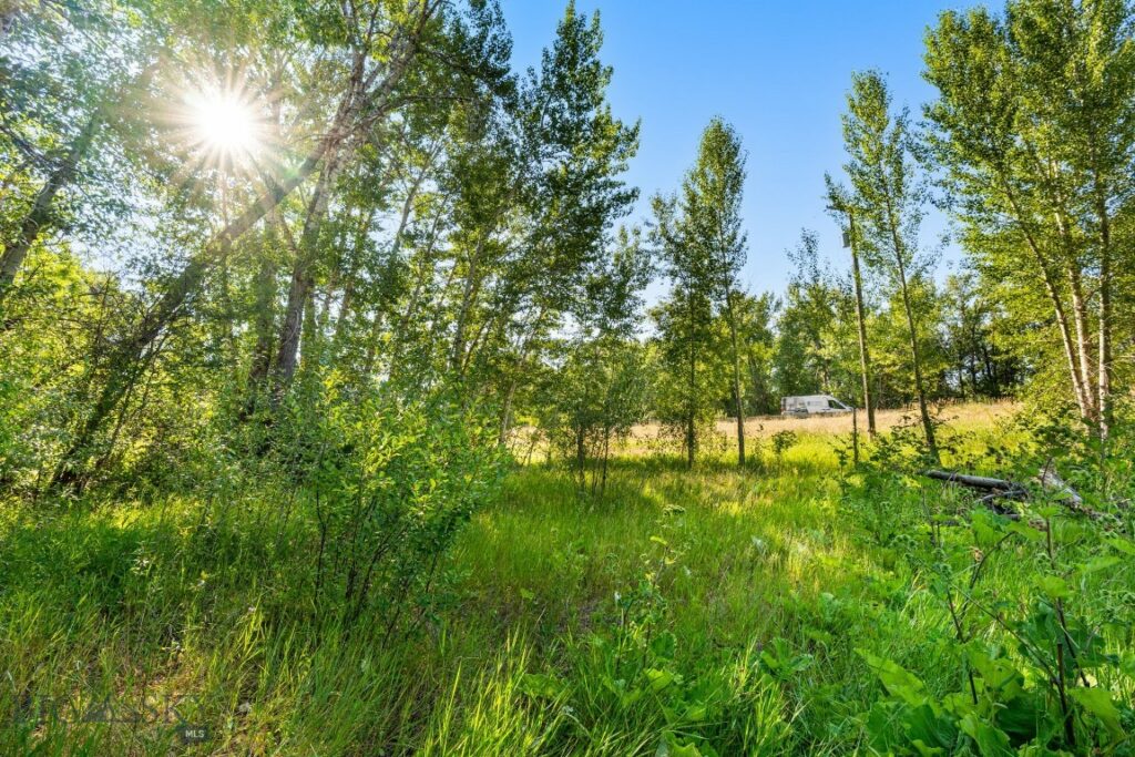 Bozeman MT 59718 - 20