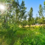 Bozeman MT 59718 - 20