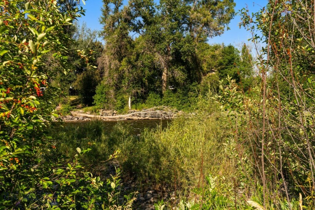 Bozeman MT 59718 - 23