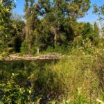 Bozeman MT 59718 - 23